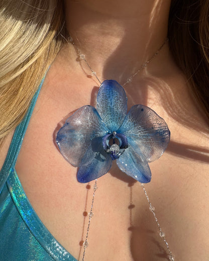 Big blue orchid