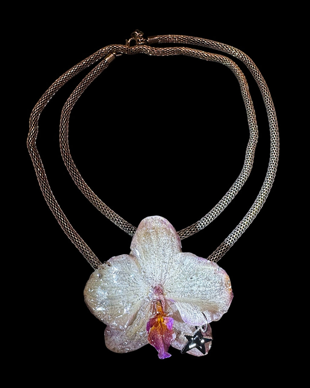 Collier star orchid