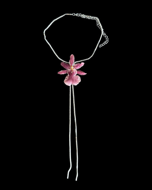 Oncidium Rhinestones