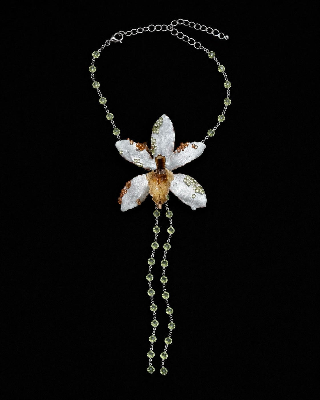 Dolly orchid