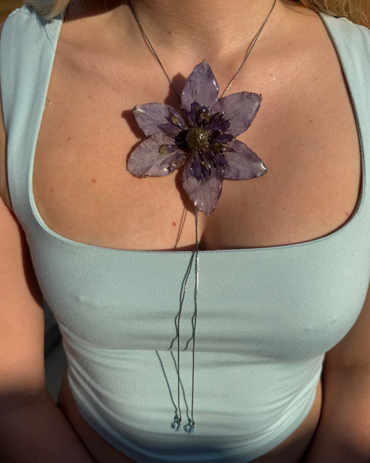 Purple clematis