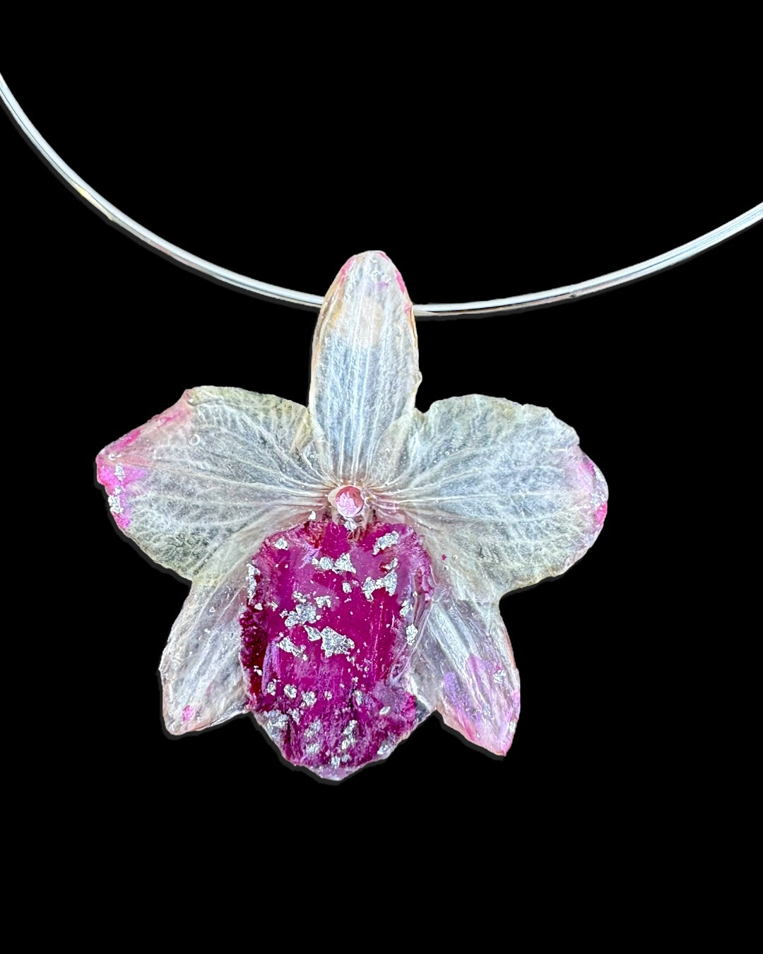Fuchsien-Orchidee