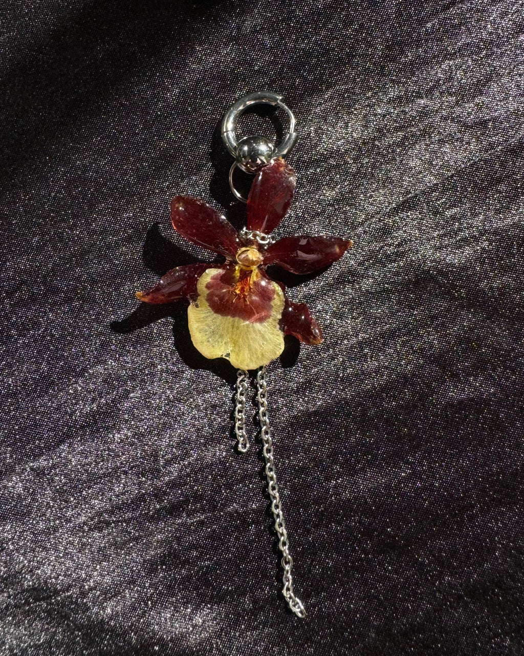 Cid orchid
