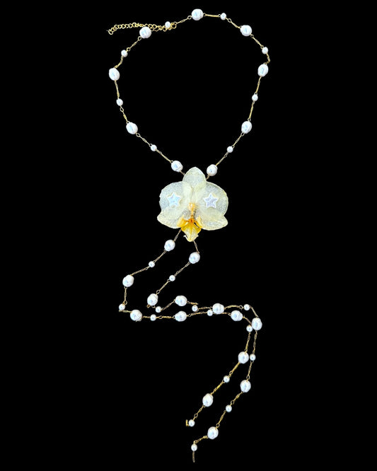 Pearly White orchid
