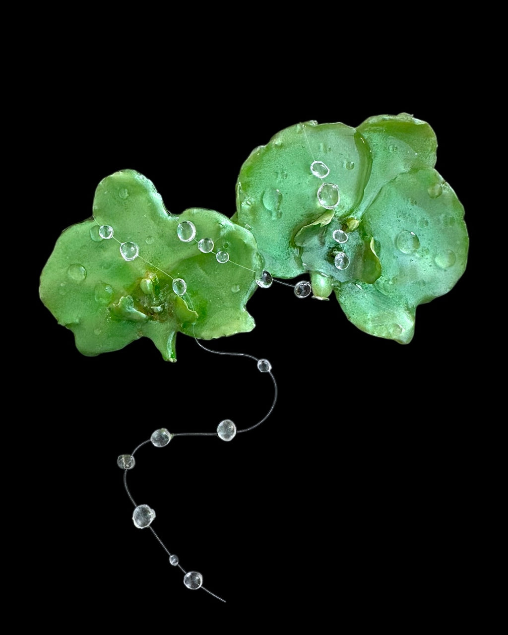 Double chrome green orchid