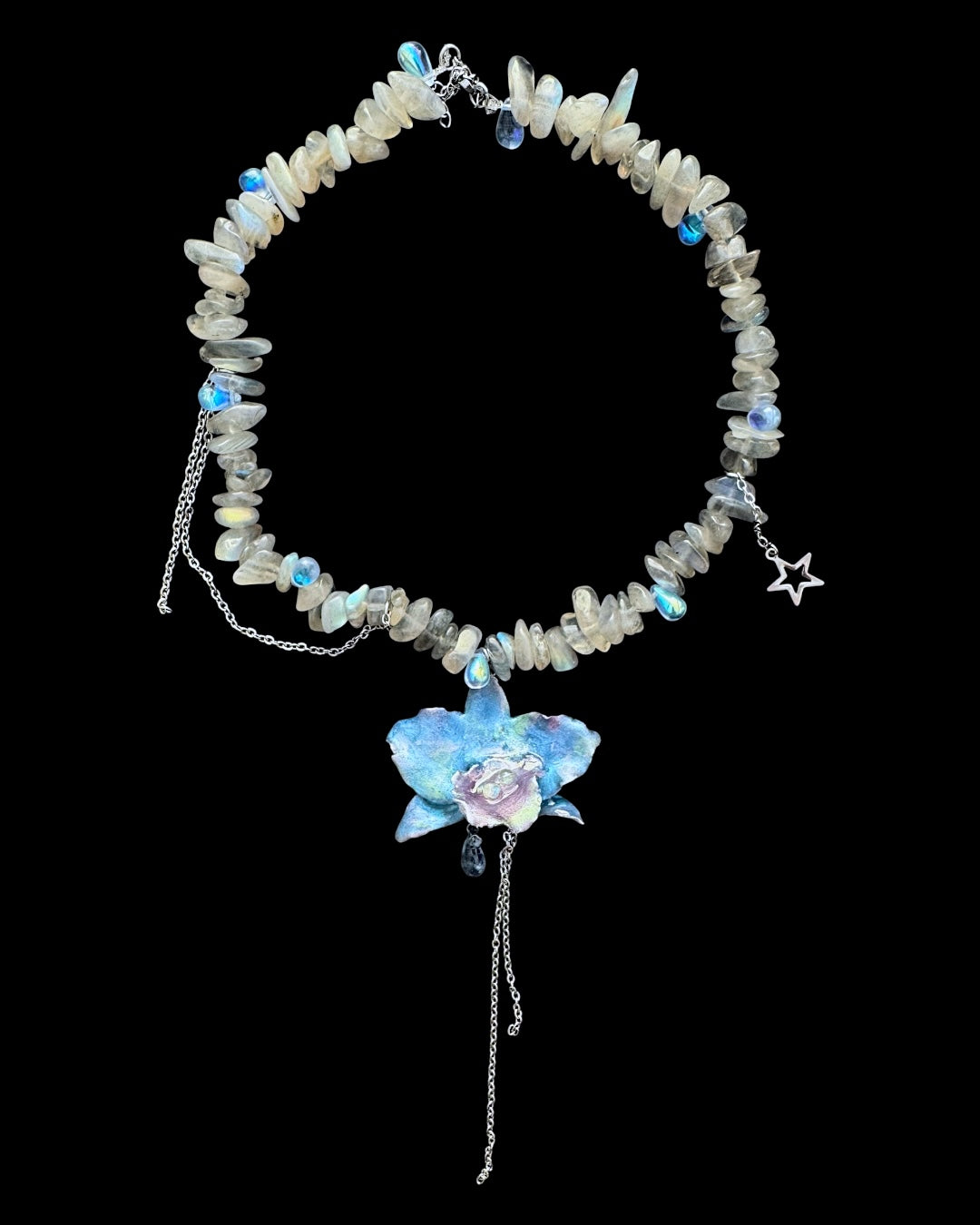 Nymph orchid