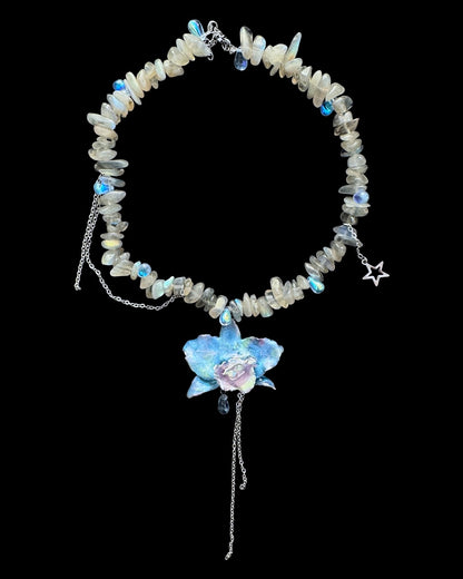Nymph orchid
