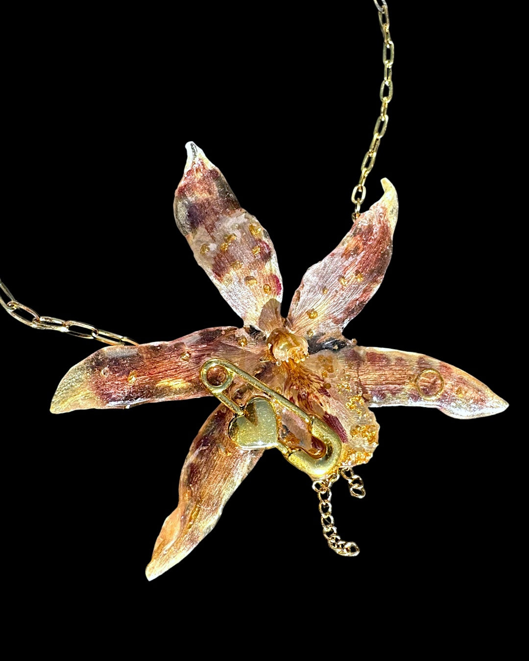 Goldy leopard brassia