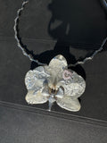 Chrome zebra orchid