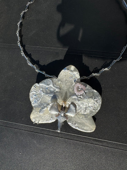 Chrome zebra orchid