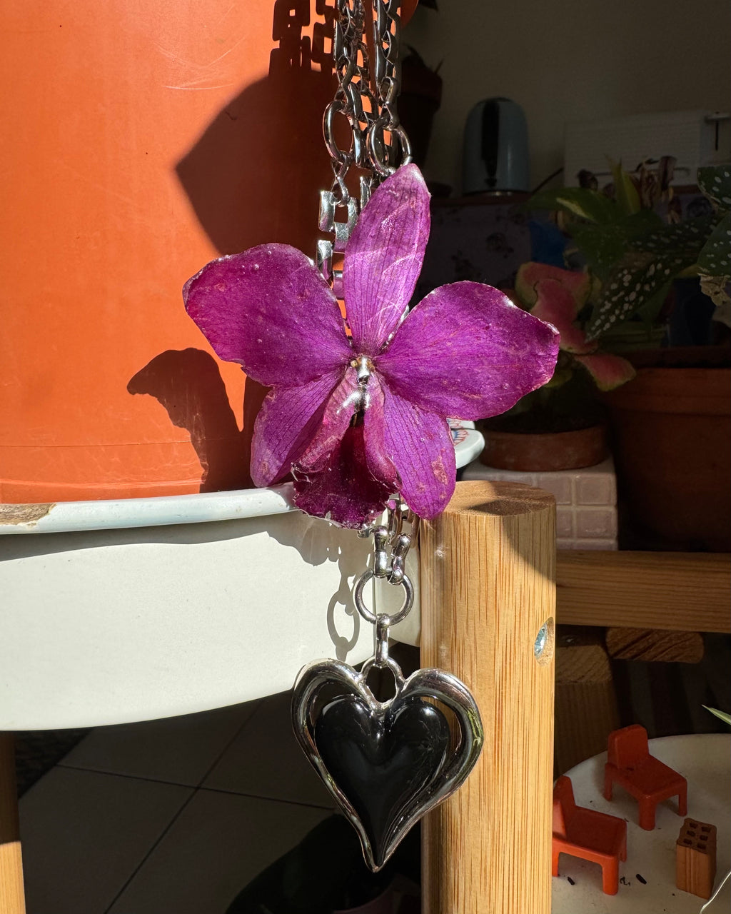 Lila orchid