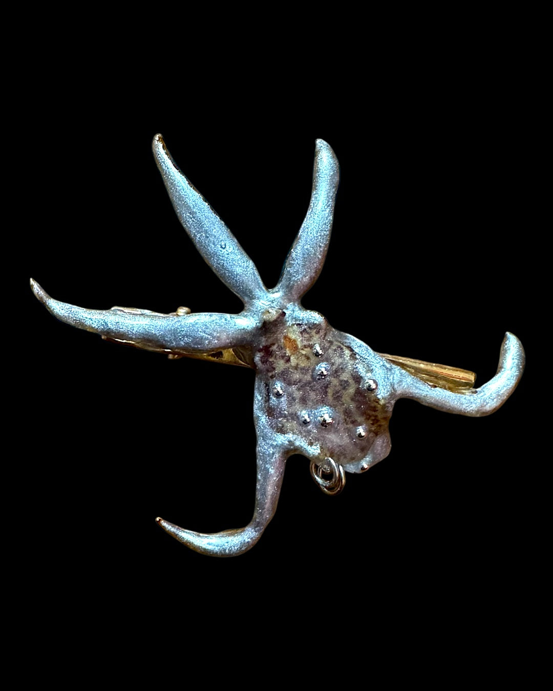 Brassia orchid hair clip