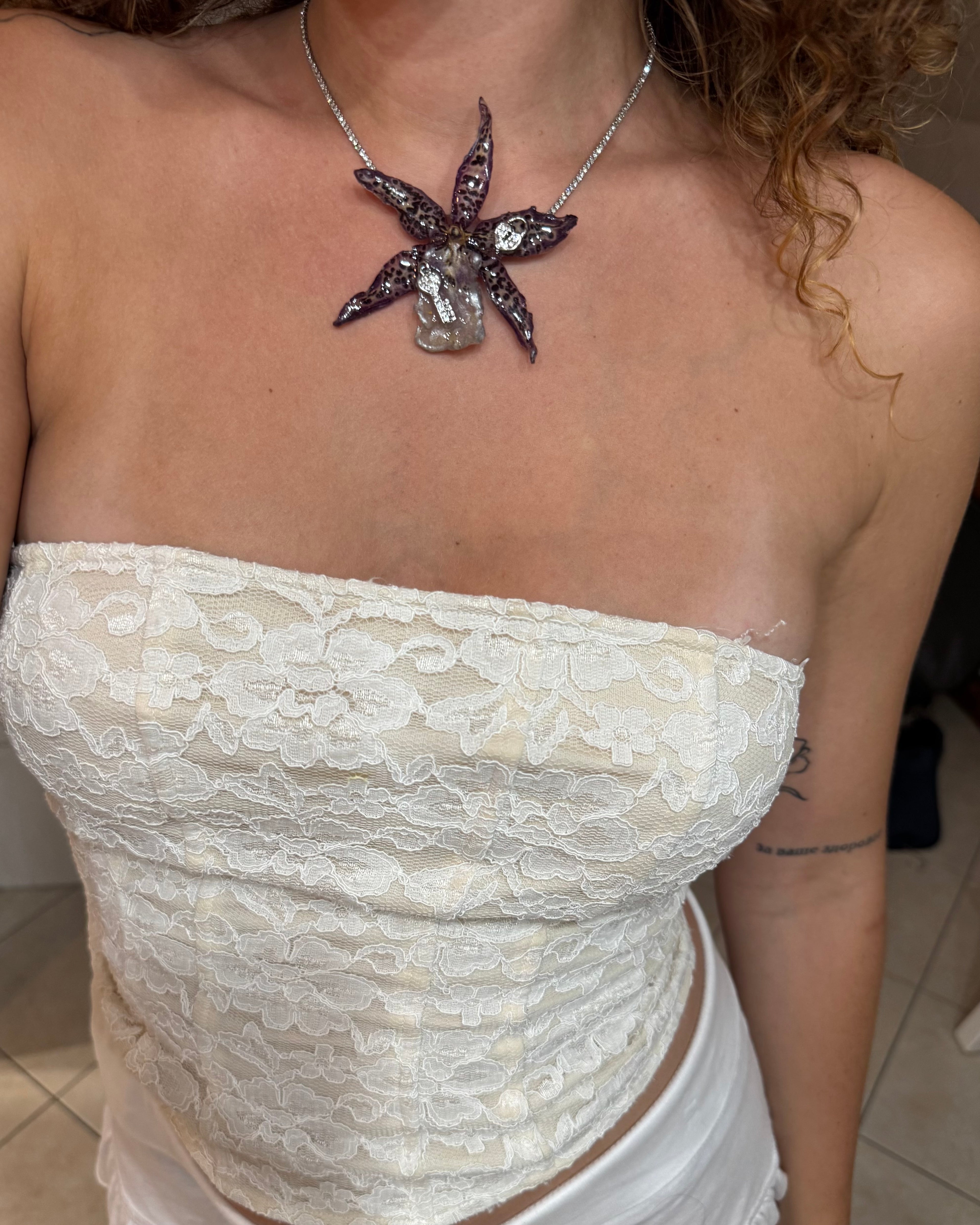 Dark leopard Brassia