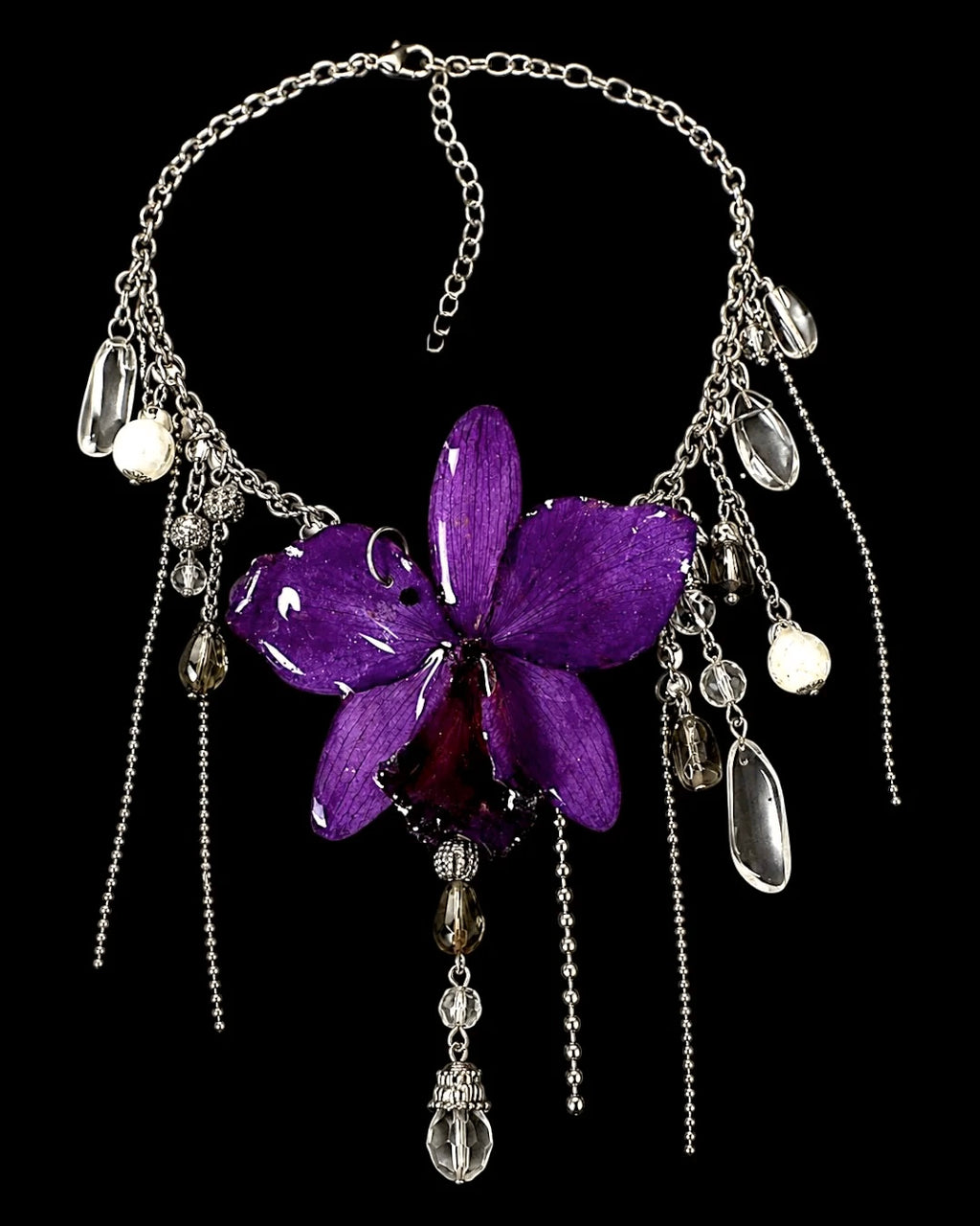 Tina orchid