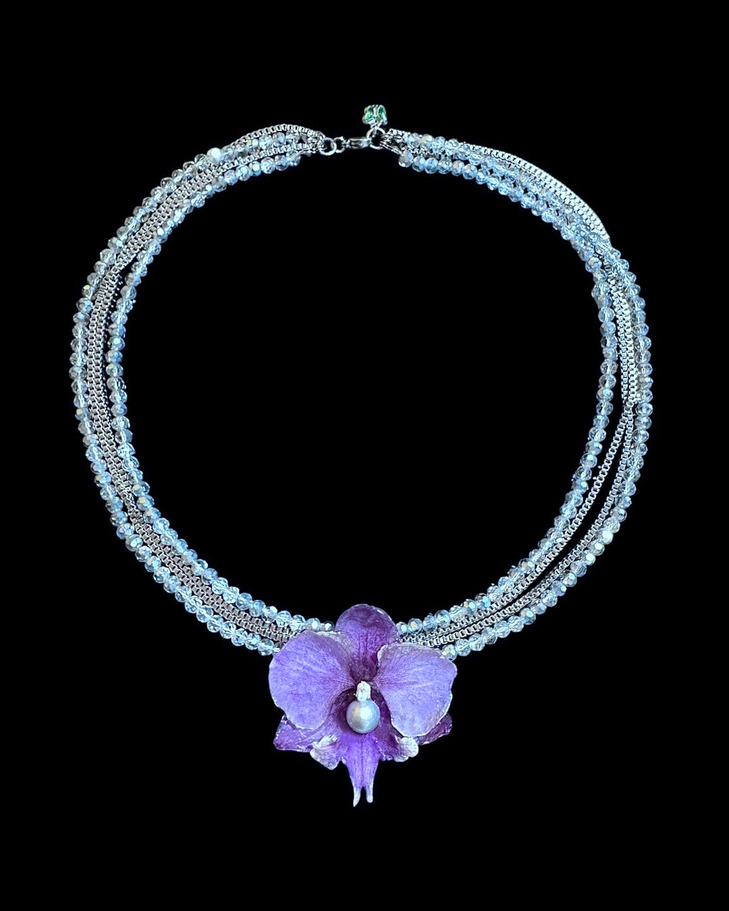 Graue Perlenorchidee