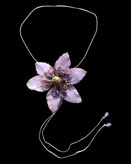 Purple clematis