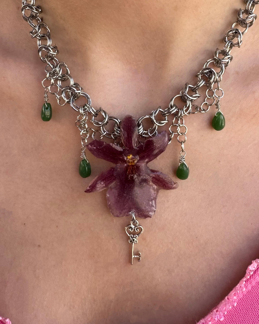 Burgunderfarbene Oncidium-Orchidee