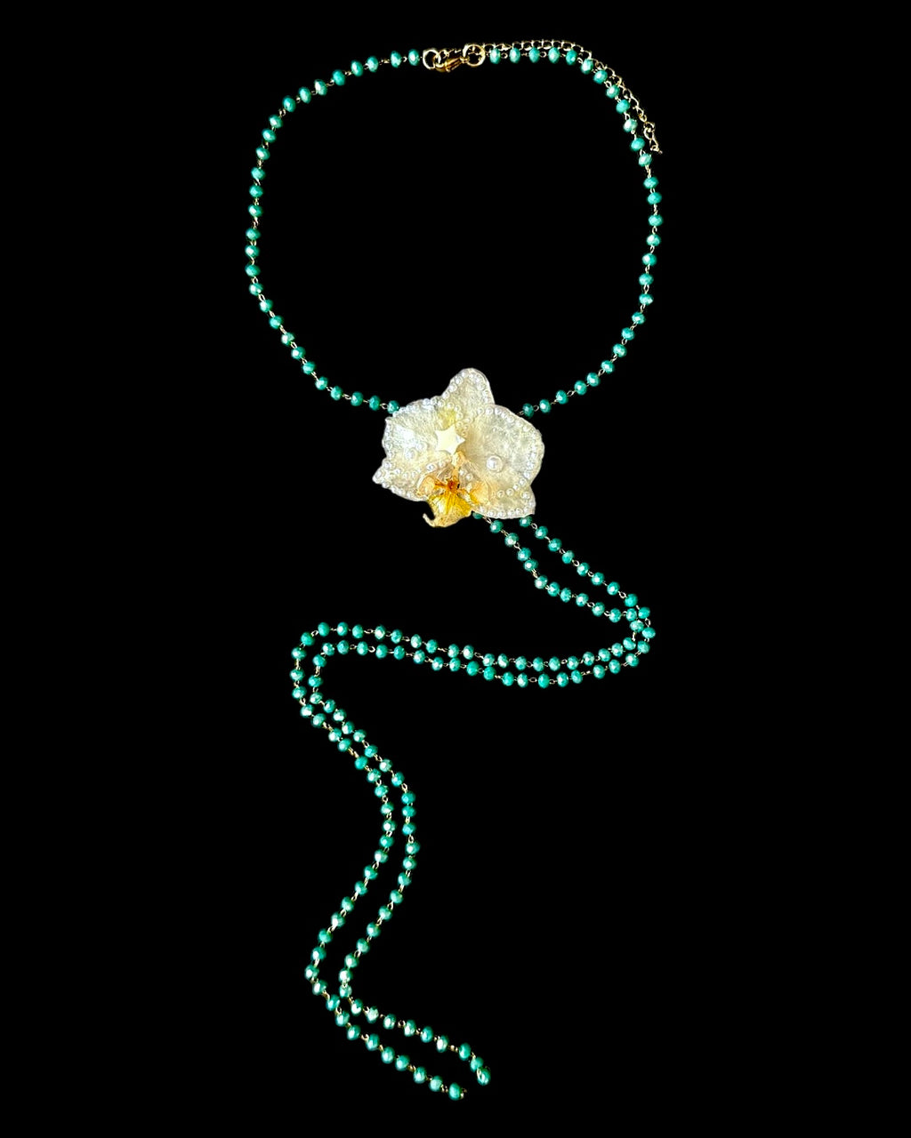 mini star orchid
