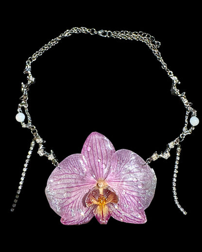 Big purple orchid