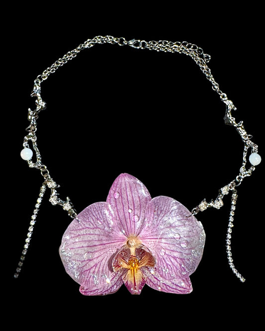 Big purple orchid