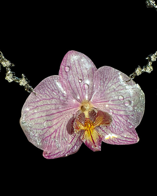 Big purple orchid