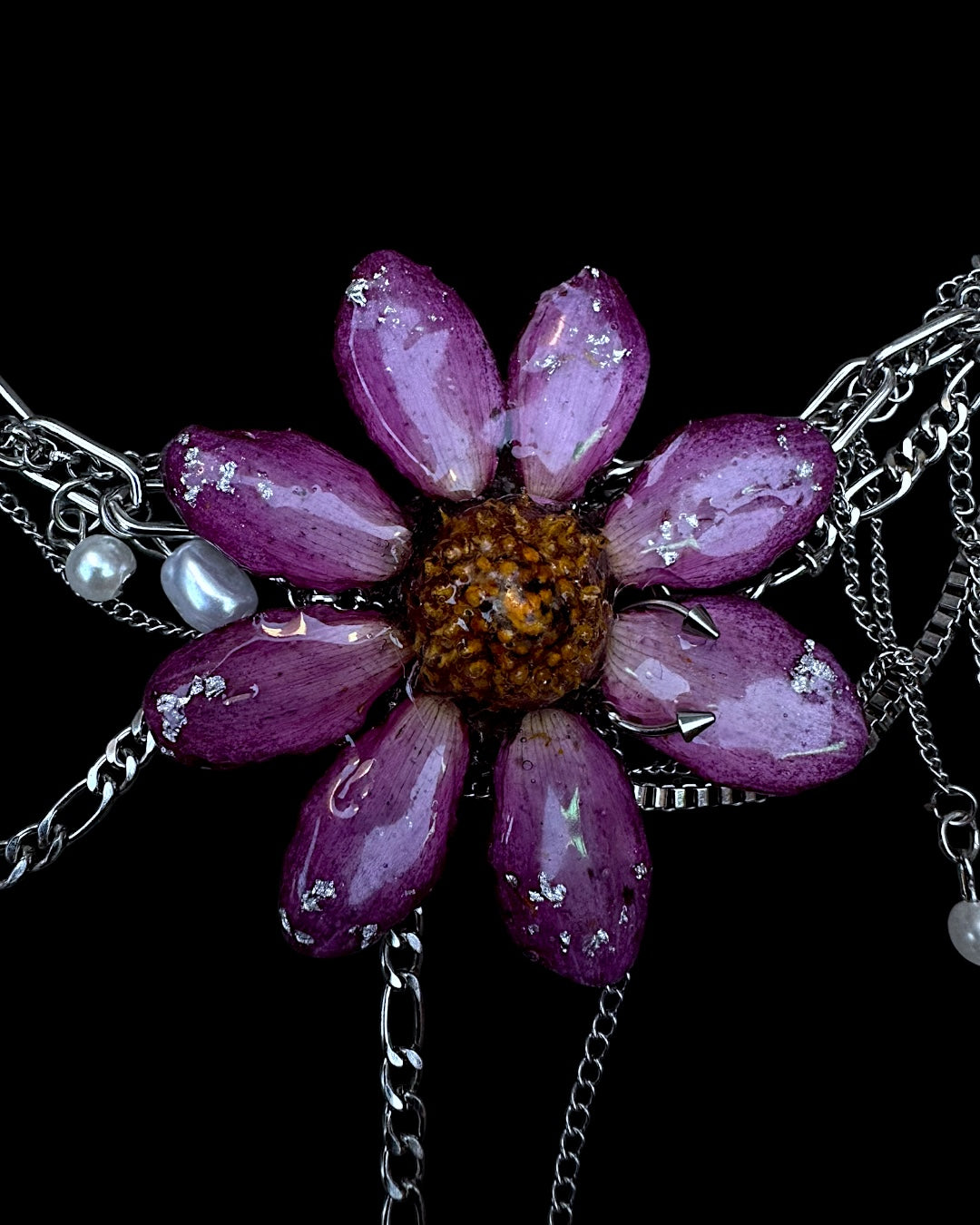 Purple Dahlia