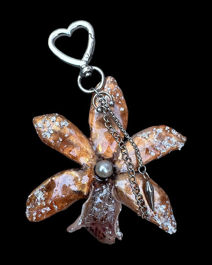 Brown orchid