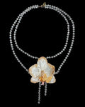 Goldy orchid
