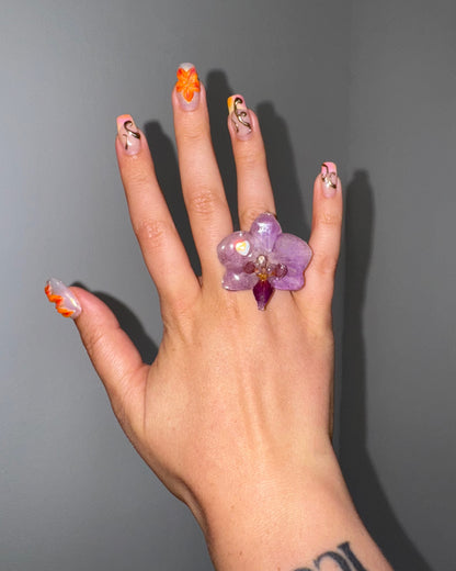 Lila Mini-Orchidee
