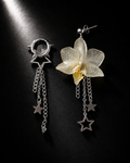 Pacha orchid