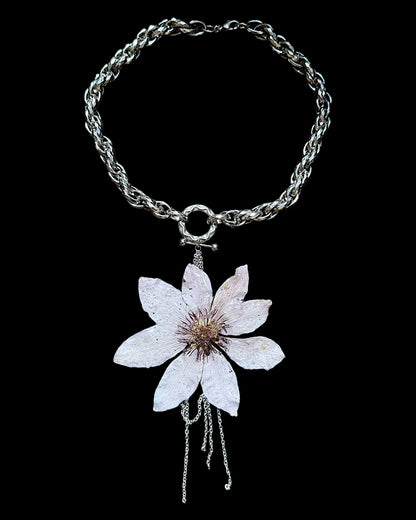 Lila Clematis
