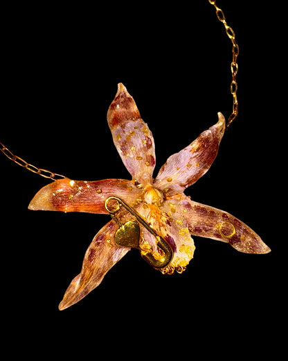 Y2k braune Brassia
