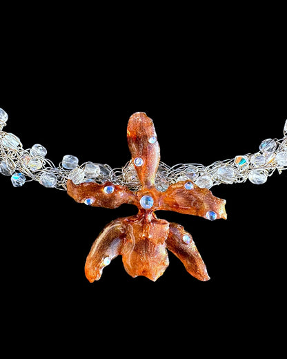 Brown oncidium orchid