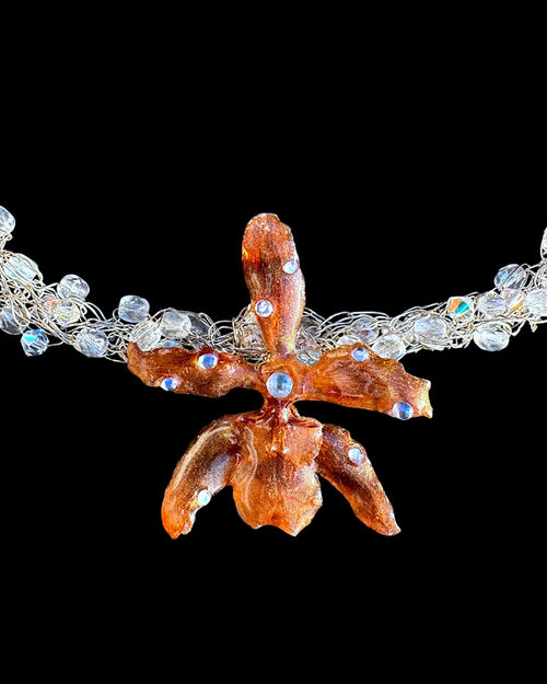 Brown oncidium orchid