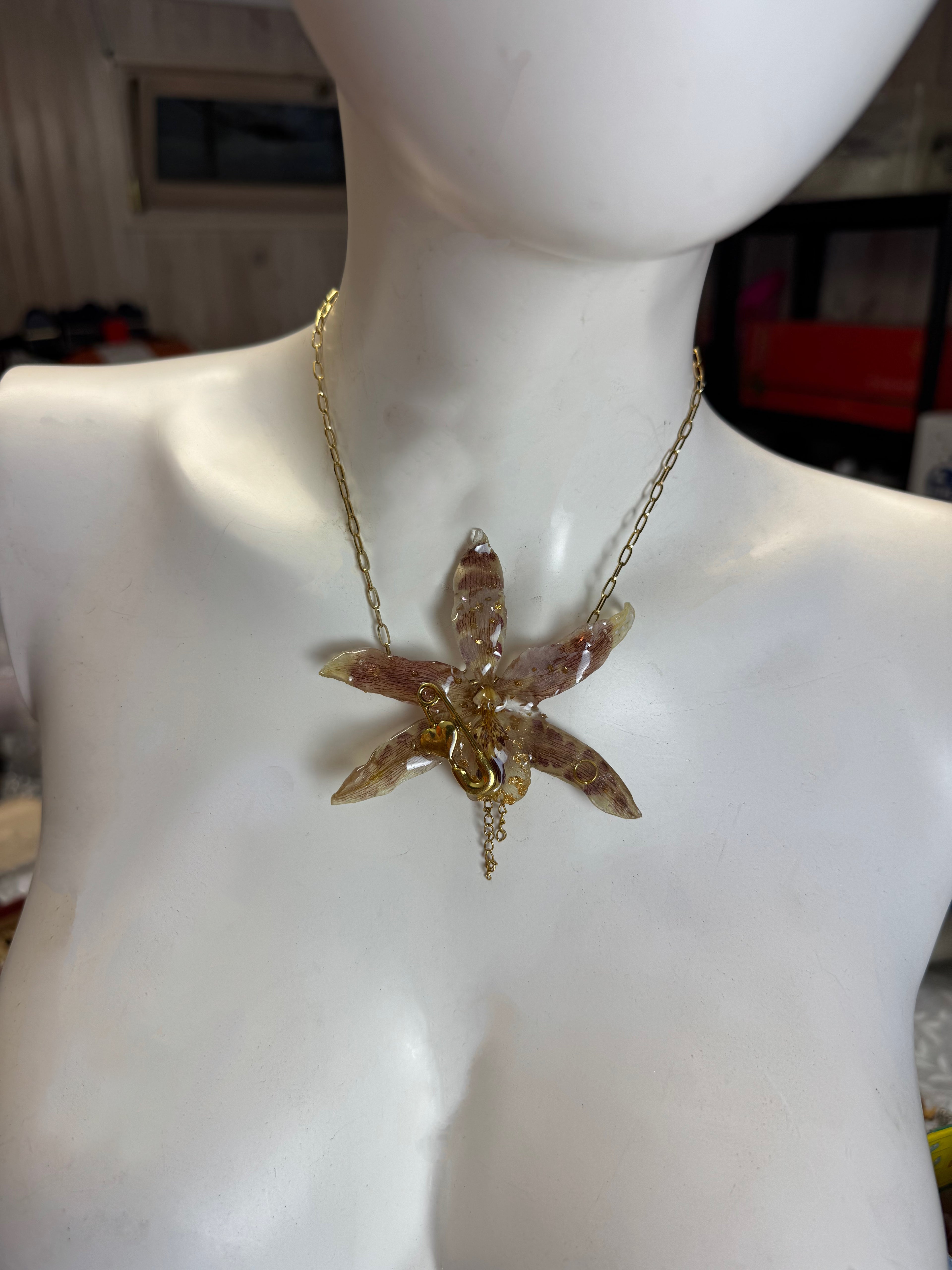 Goldy leopard brassia