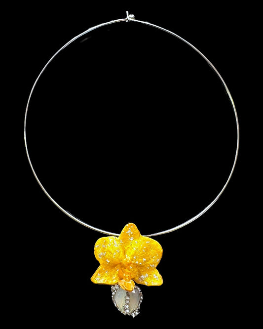 Yellow heart orchid