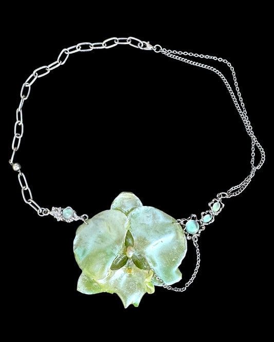 Sirena orchid