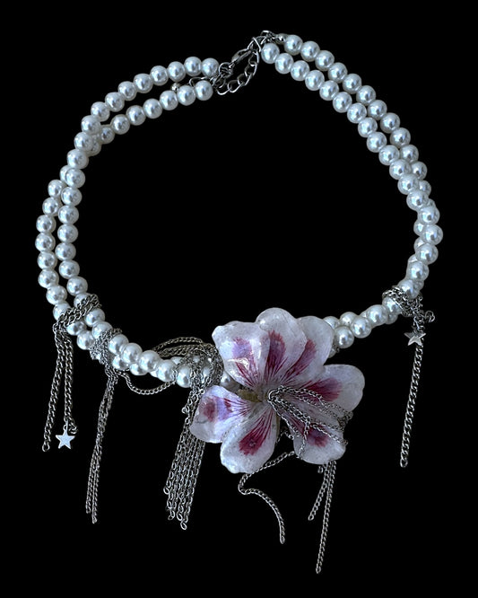Pelargonium pearls