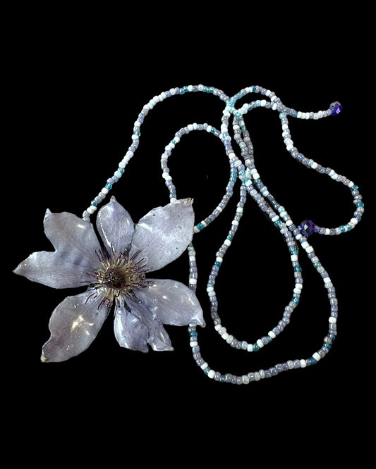 Baby blue clematis