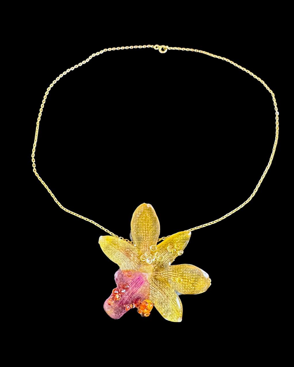 Mia orchid