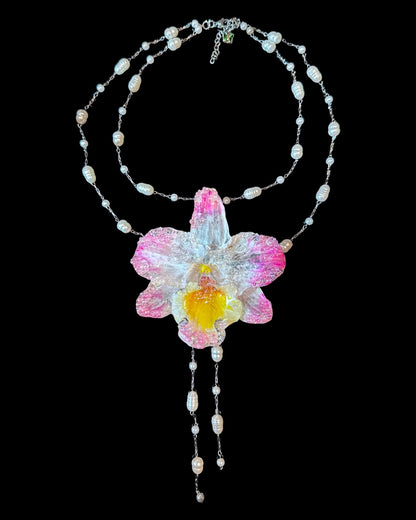 Rosa Orchidee