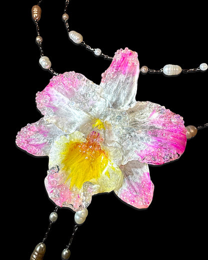 Rosa Orchidee
