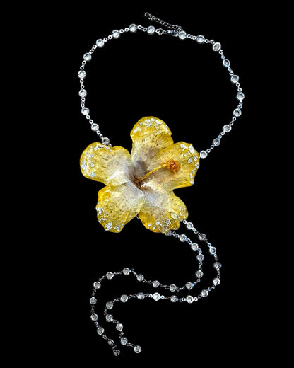 Yellow hibiscus