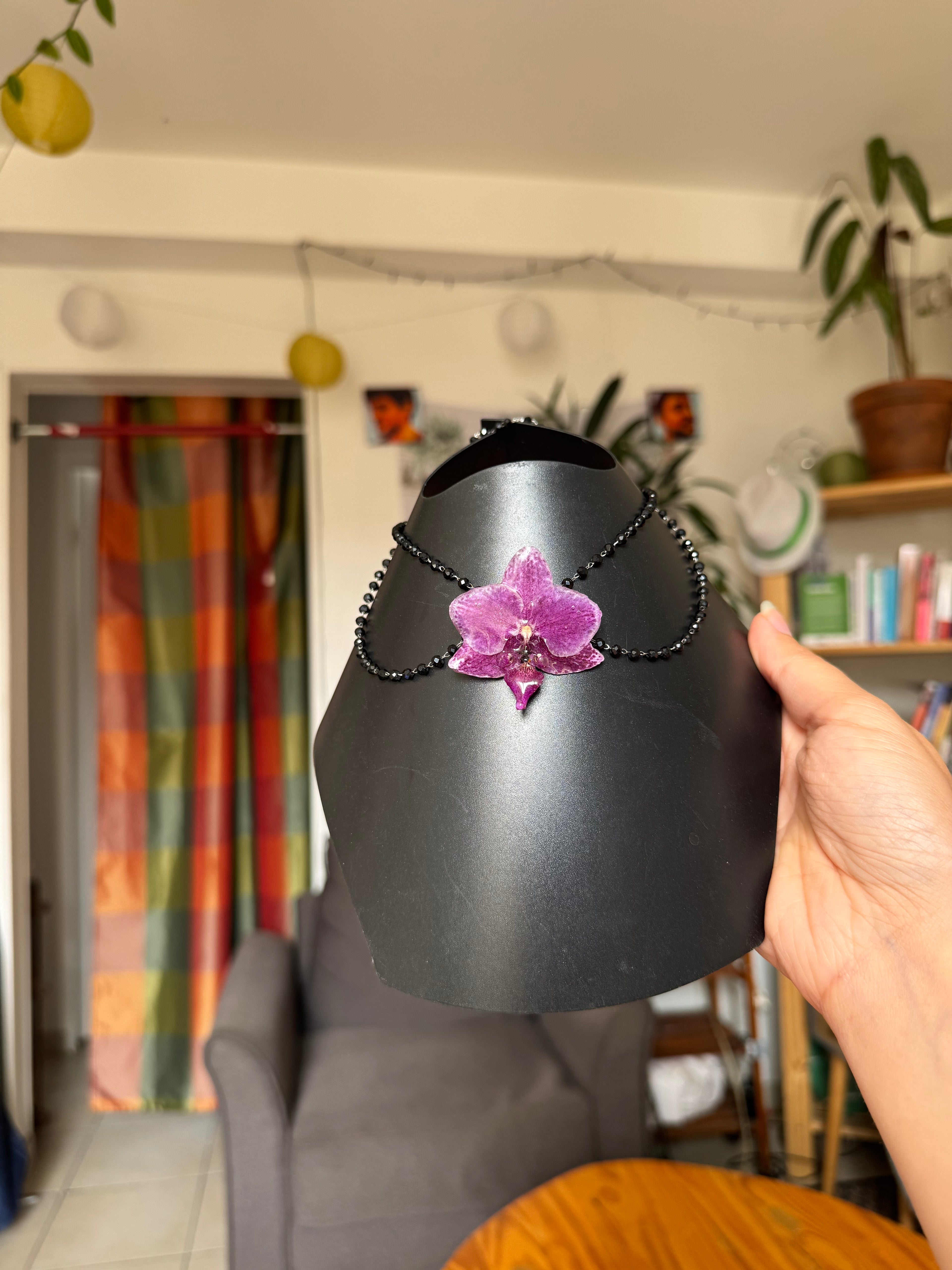 NOVA signature - Lila orchid