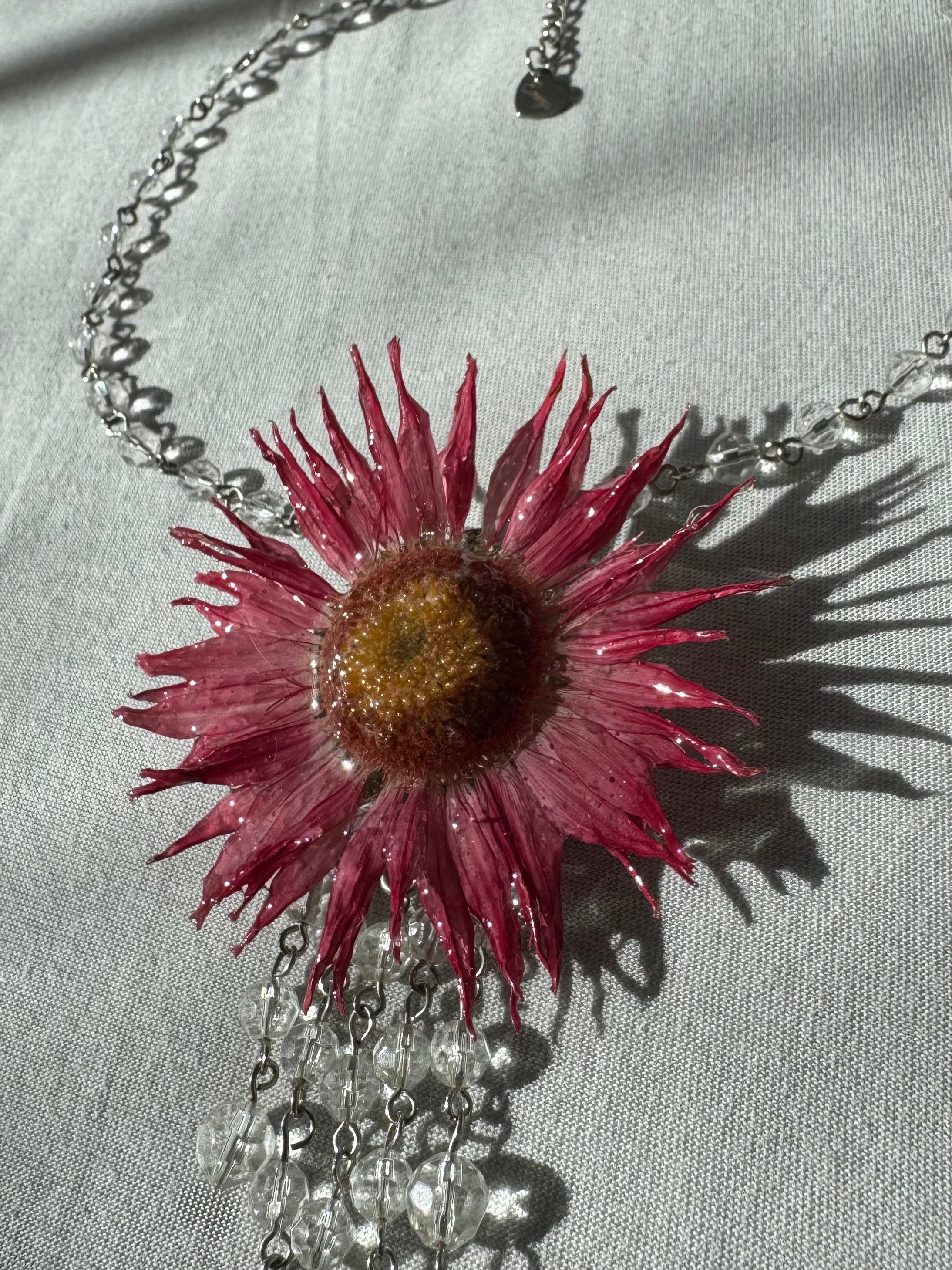 Gerbera rouge soleil