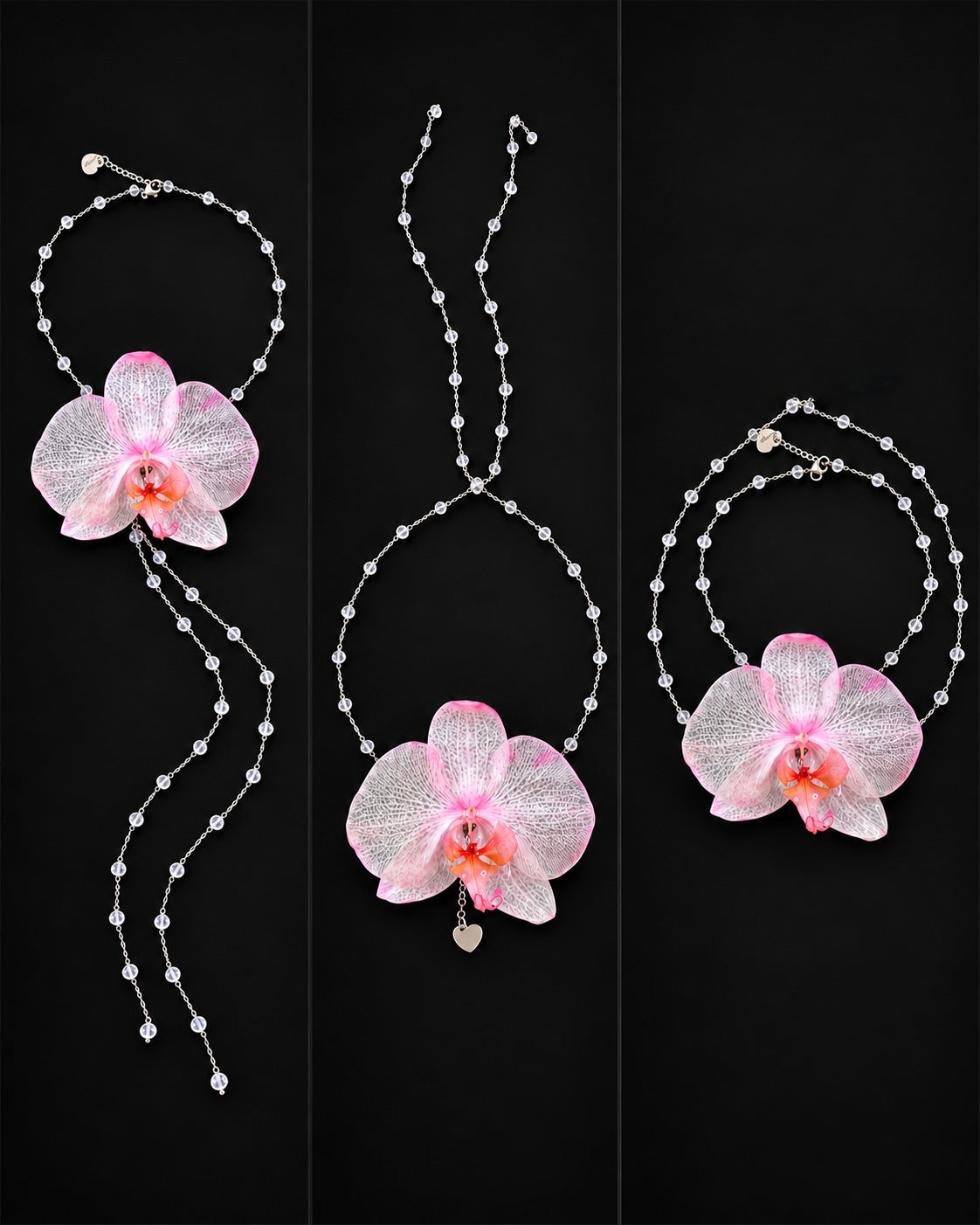 HALO signature - Blush orchid