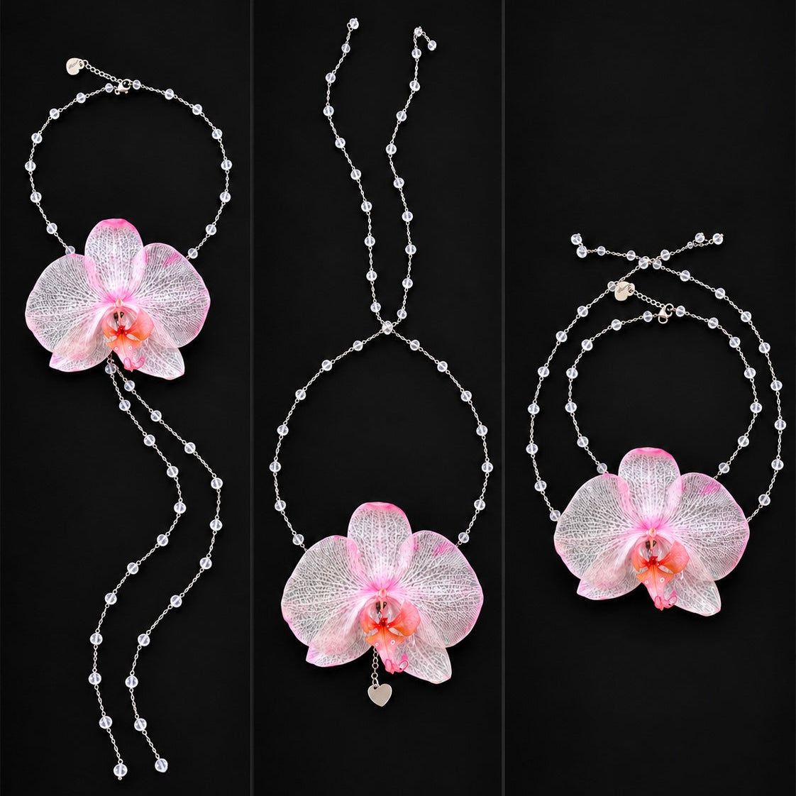 HALO signature - Blush orchid