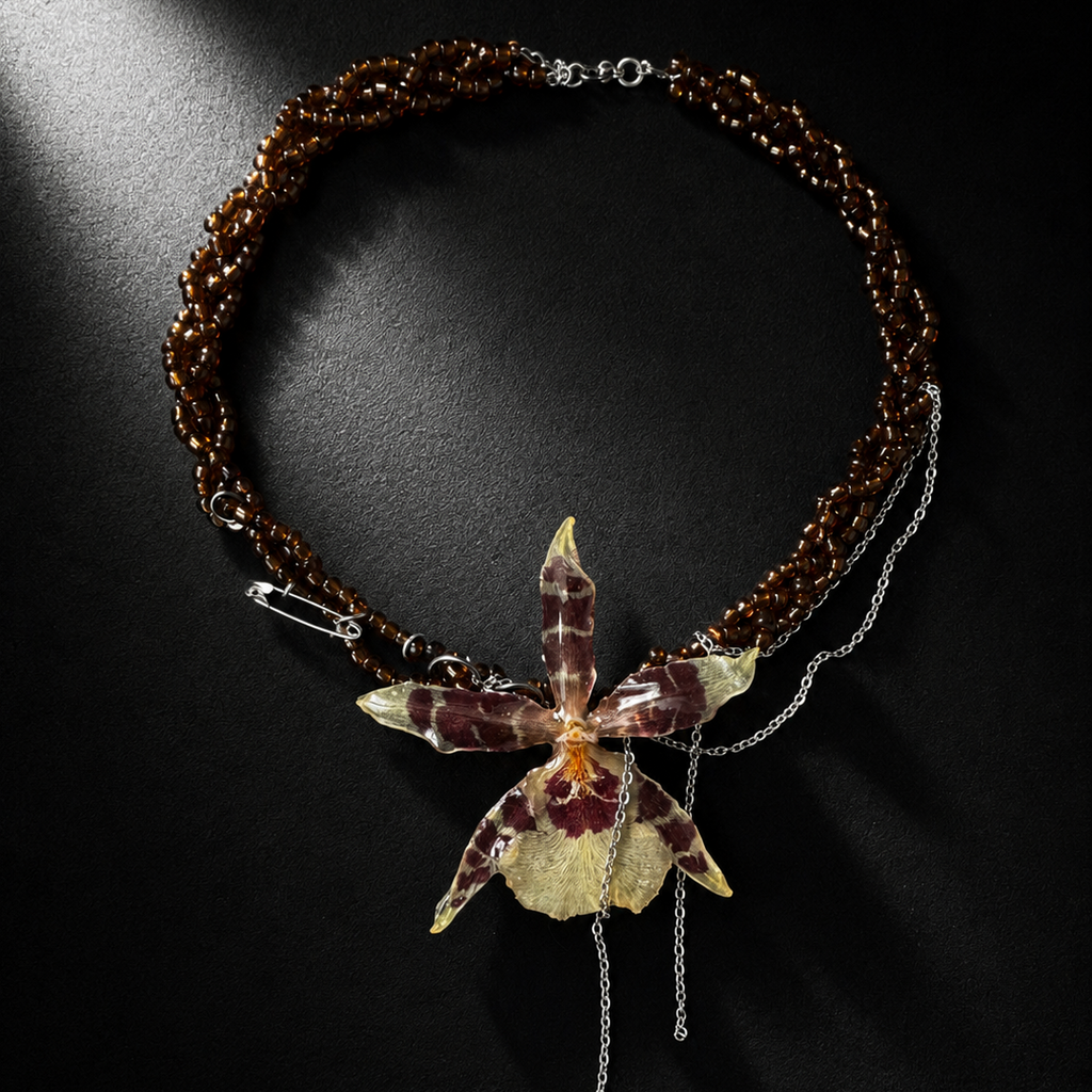 Sasha Orchid