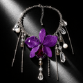 Tina orchid