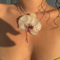 Marisol orchid